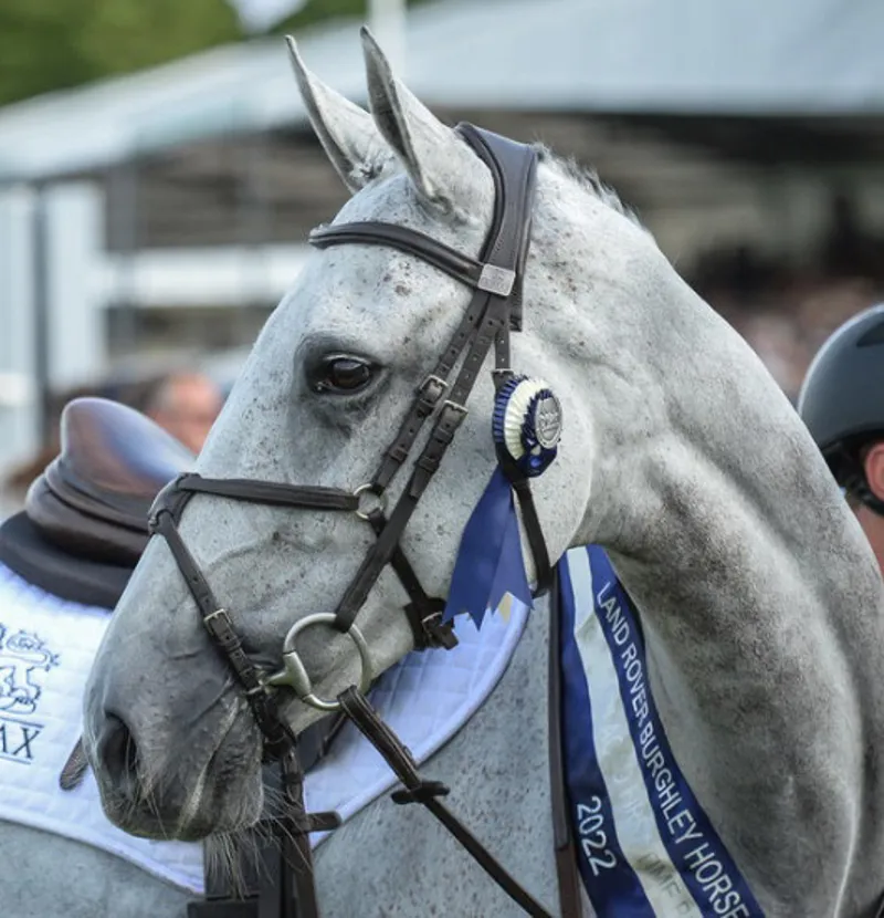 Fairfax Bridle - Grackle Brown